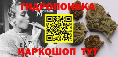 прущая мука Будённовск