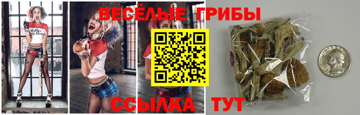 Псилоцибиновые грибы мицелий  Вход с VPN  Кореновск 